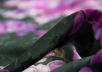 Жаккардовый шелк с цветочным принтом Gai Mattiolo рис-3