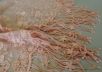 Оригинальная вышивка на шелковом креш-шифоне персикового цвета рис-3
