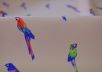Шелк "Попугайчики" на персиковом фоне рис-3