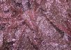  Пайетки на сетке розового цвета рис-2