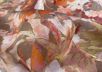 Шелк атласный с цветочным принтом в оранжево-бежевых тонах рис-4