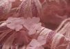 Кружево с вышивкой на сетке розового цвета с люрексом рис-4