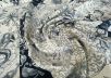 Жаккард ETRO средней плотности в серо-черно-бежевой гамме "русалочка" рис-3