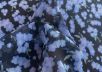 Шелковый жоржет компаньон Ульяна Сергиенко "незабудки" нежно-голубого цвета рис-3