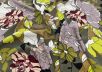 Вискоза рубашечно-плательная с цветочным принтом  рис-3