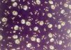 Вискоза рубашечно-плательная с содержанием шерсти с цветочным принтом рис-3