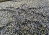 Шерстяной жаккард с абстрактным принтом рис-3