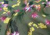 Шелковый батист с цветочным принтом  рис-3