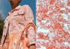Хлопок Dior рубашечной плотности с животными в оранжевом цвете D-082